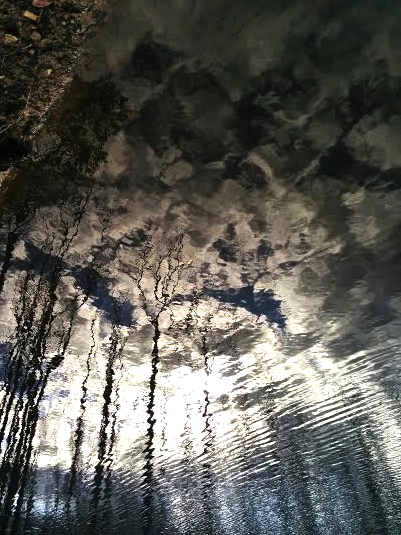 8ju_KIxB2tcs4u17HSpaXhNtclZsxQO4xc5OVdEC7onO9gGoLjyNW-J0iiP-Y0yP6vQDuzAxSJNVBhOISOPv4sy3hars61BaxlDqcJjznxT6Wa2h9iHXI8ud3GysyIA3EdBdg78IkRcltP3AyAANUrfBptwm8-R0QaKQU02IZQEF0yfkavdMOTX3cNBh7-OR8xt7jCC8TI4o5yWx_3fGzPmuGbraLYRv3Yx