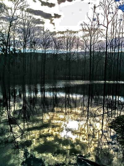 -K6ArPhLHwN75lU16IPlnavA0VhaM8rinifnj7HivFC85Yrl48zWwXXlpXWwdcNsbT8EDY6c1XEJQfZawTgSYSl_C3nwjFqNxk7VMp6PDsy_k1s4kwsZc3l86x6YTsrclMuqGk5Q3yXZTbBTUHp-eHYuFW2r88b9nObAIYhCA6TSesOqTN6CowOmN_DcaE_WE2xx7rS1U4a7wYBPcfehxqNCH68R1qnqr4m